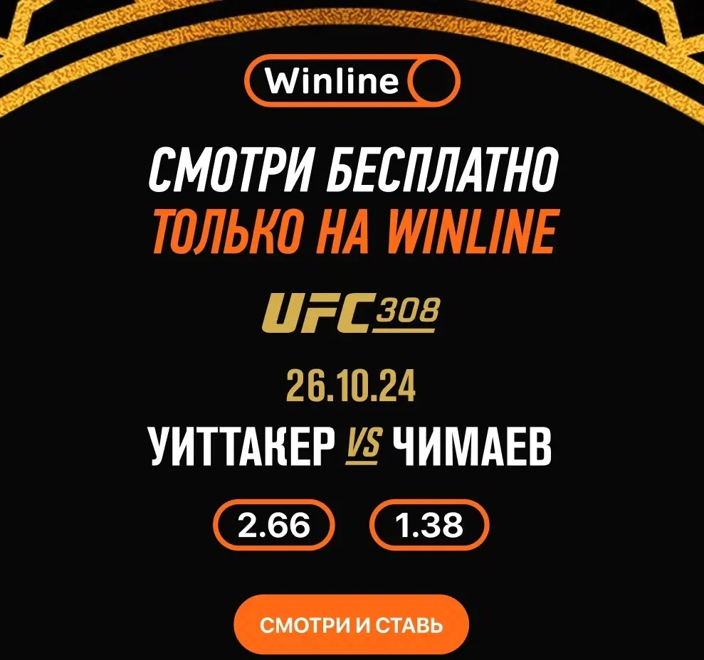 Выбираем лучшие ставки на турнир UFC 308 в Абу-Даби по линии БК Winline