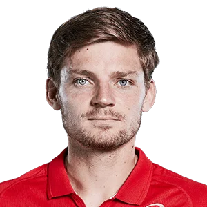 david-goffin