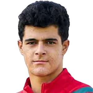 Карим Беннани