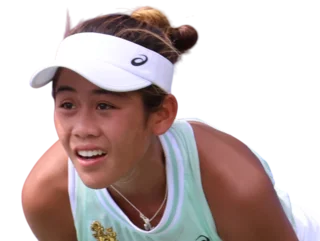 Ланлана Тараруди