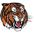 Медисин Хат Тайгерс