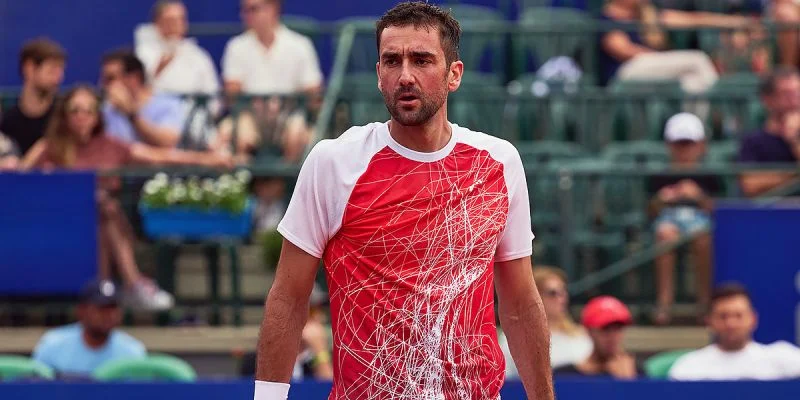 Чилич — Свайда. Прогноз и ставки на матч ATP Ханчжоу (18 сентября 2024 года)
