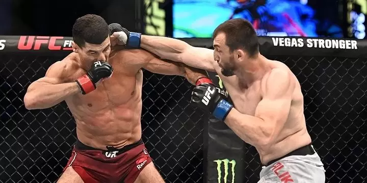 Муслим Салихов — Лауреано Старополи. Прогноз на UFC (26 октября 2019 года)