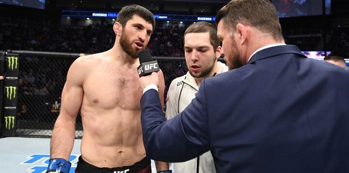 Magomed Ankalaev Ion Kucelaba Prognoz Na Ufc 30 Avgusta 2020 Goda Vseprosport Ru